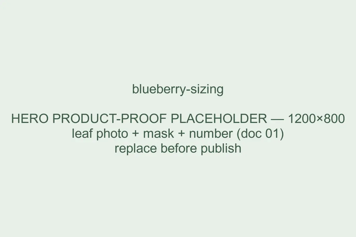 Example Spruce result: berry diameter measured from a photo, with its computed mask and value