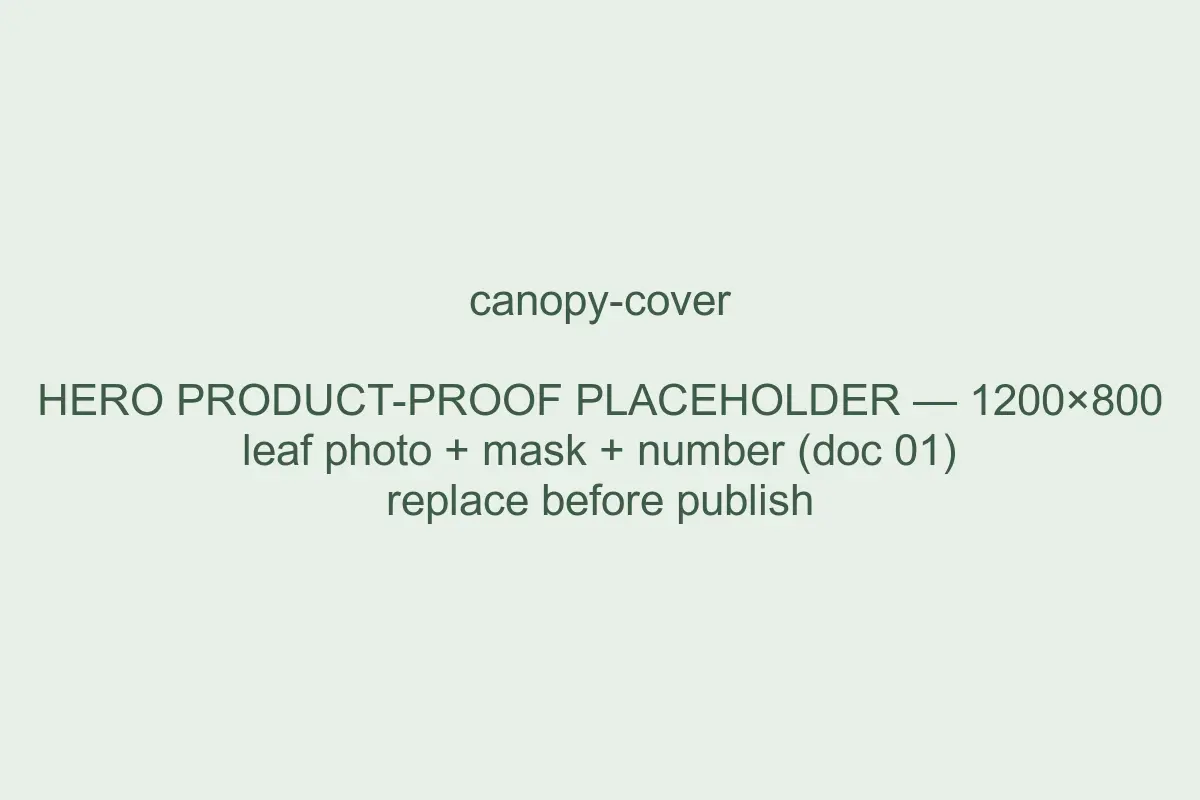 Example Spruce result: canopy cover measured from a photo, with its computed mask and value