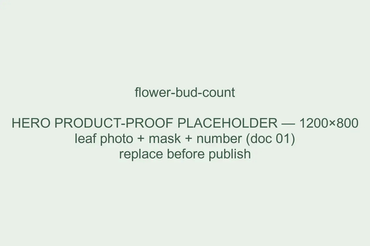 Example Spruce result: flower and bud count measured from a photo, with its computed mask and value