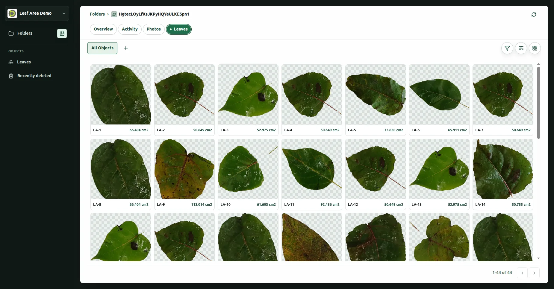 Spruce workspace showing a folder of segmented leaves, each labeled with its measured area in cm²