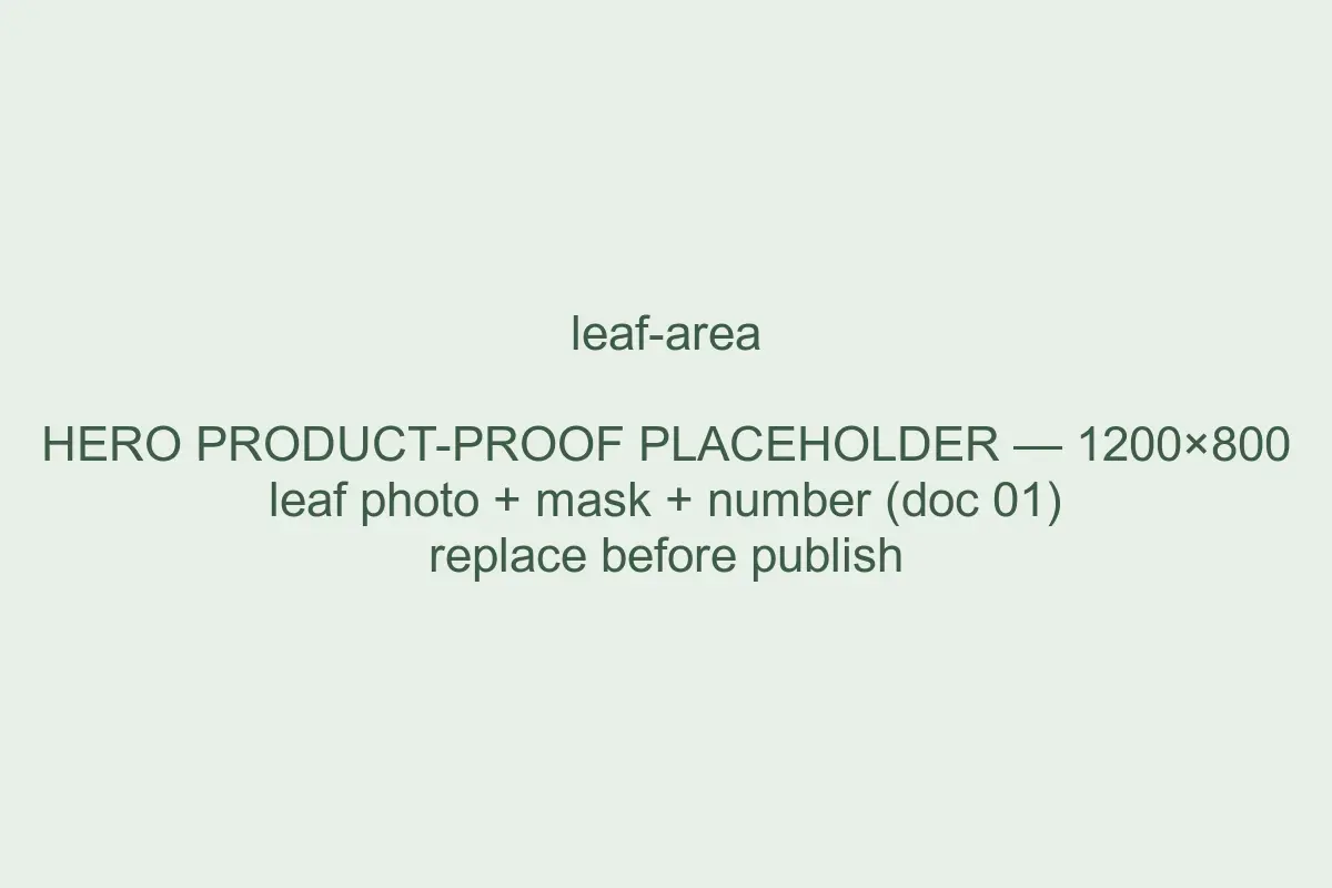 Example Spruce result: leaf area measured from a photo, with its computed mask and value